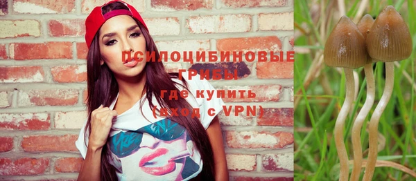 дурь Аркадак