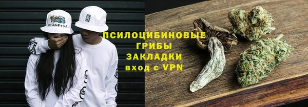 дурь Аркадак