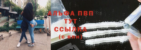 стаф Армянск